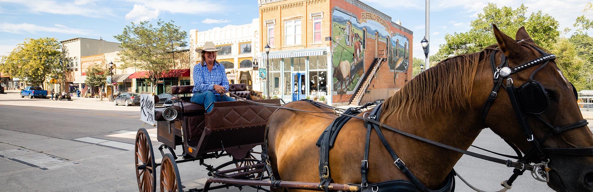 Horse buggy in Buffalo Wyoming